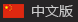 中文